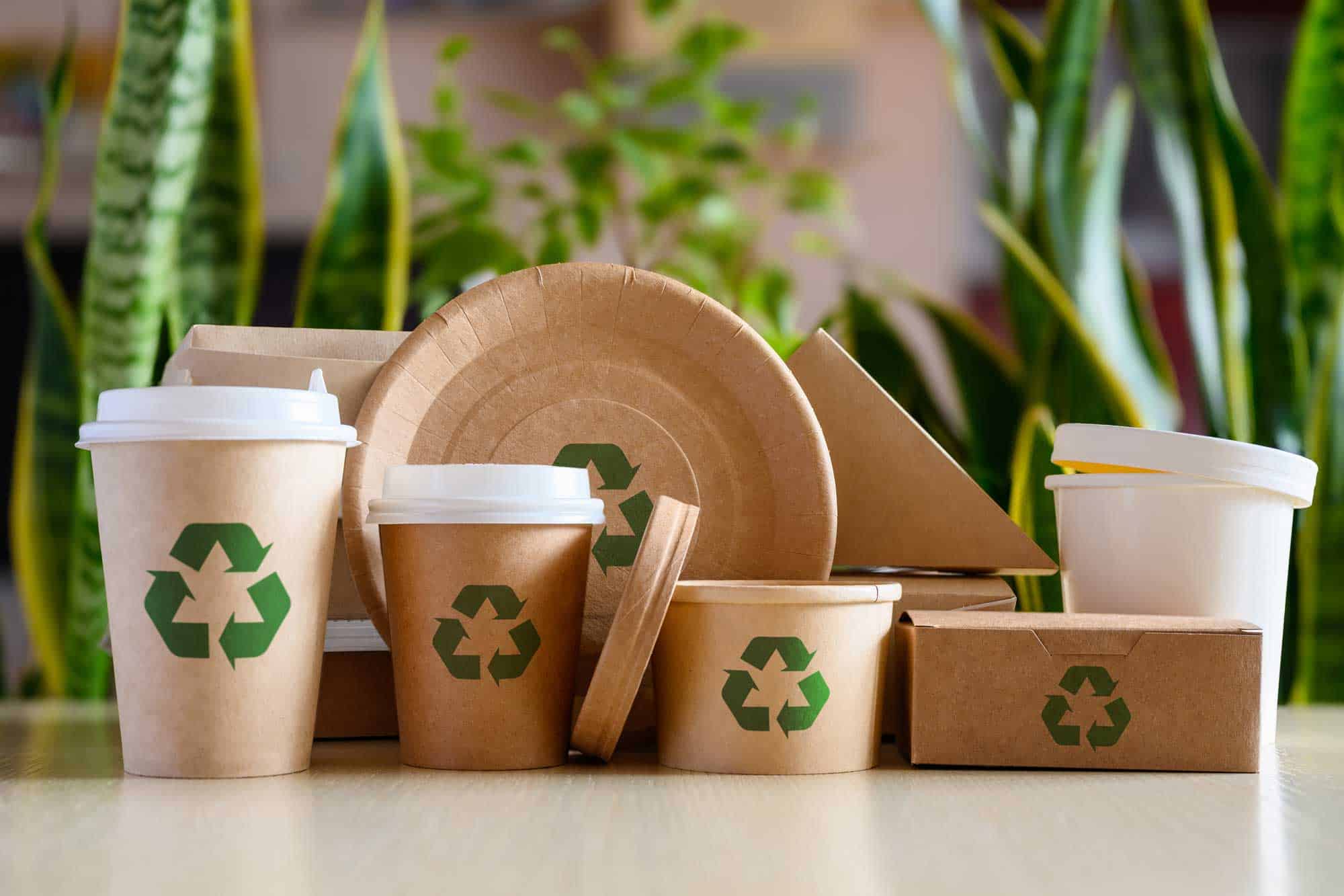 eco-friendly packaging